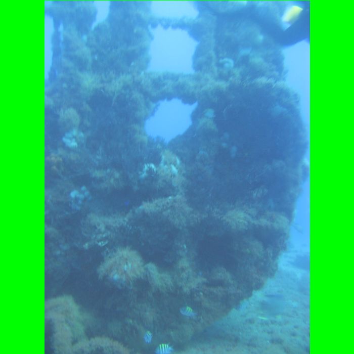 Dive WP Wrecks 25-Oct-09_366.JPG
